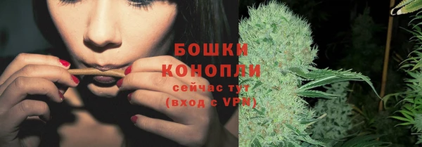 PSILOCYBIN Краснотурьинск