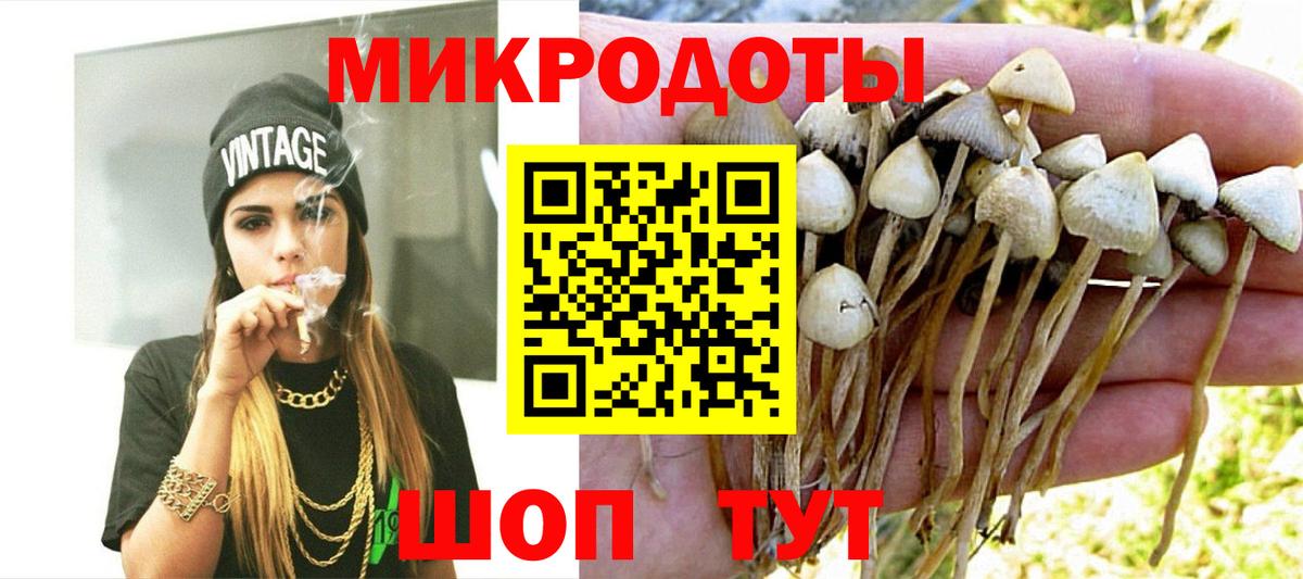 Псилоцибиновые грибы Magic Shrooms Майский